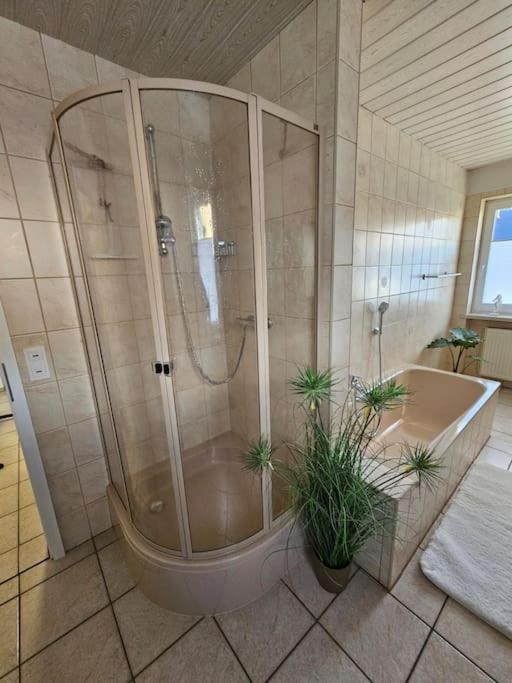 Ferienhaus Distelfink Entspannen In Der Mitte Von Deutschland Gudensberg Eksteriør billede