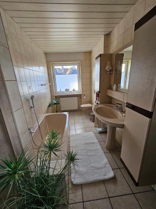 Ferienhaus Distelfink Entspannen In Der Mitte Von Deutschland Gudensberg Eksteriør billede